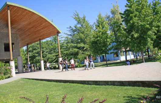 Alianza entre UCM y DAEM de Talca inicia trabajo colaborativo en beneficio de estudiantes