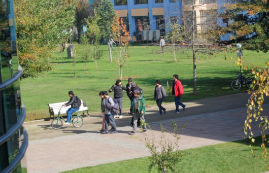 Estudiantes de Pedagogía en Matemática reflexionan sobre la importancia de actuar frente al bullying