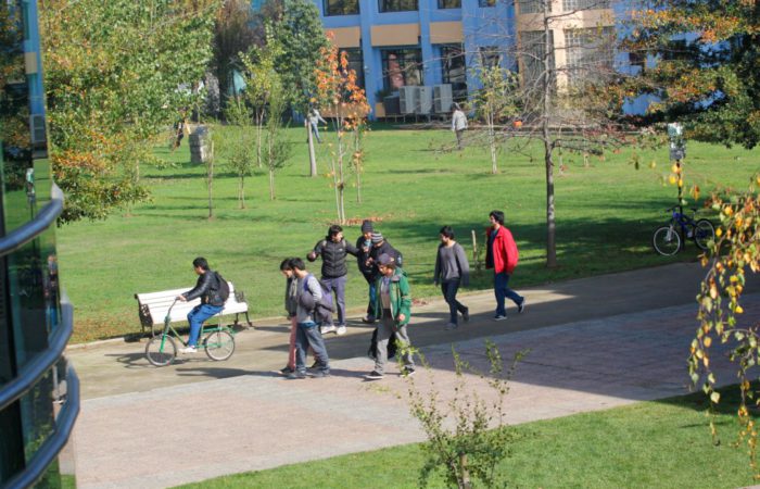 Estudiantes de Pedagogía en Matemática reflexionan sobre la importancia de actuar frente al bullying