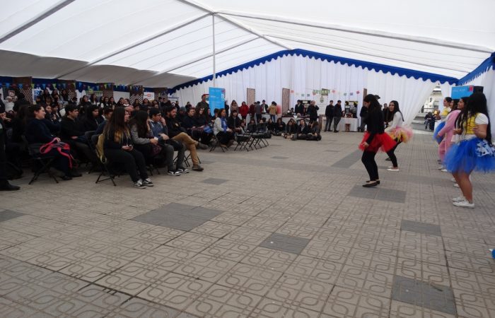 ESTUDIANTES DE TODA LA REGIÓN MOSTRARON SUS TALENTOS EN FERIAS ARTÍSTICAS-PEDAGÓGICAS