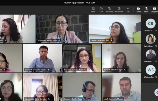 PROGRAMA PACE UCM REALIZÓ REUNIÓN SEMESTRAL CON EQUIPO ASESOR INSTITUCIONAL
