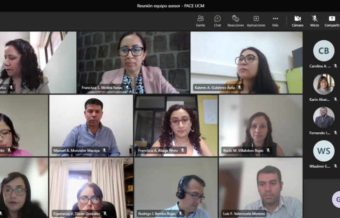 PROGRAMA PACE UCM REALIZÓ REUNIÓN SEMESTRAL CON EQUIPO ASESOR INSTITUCIONAL